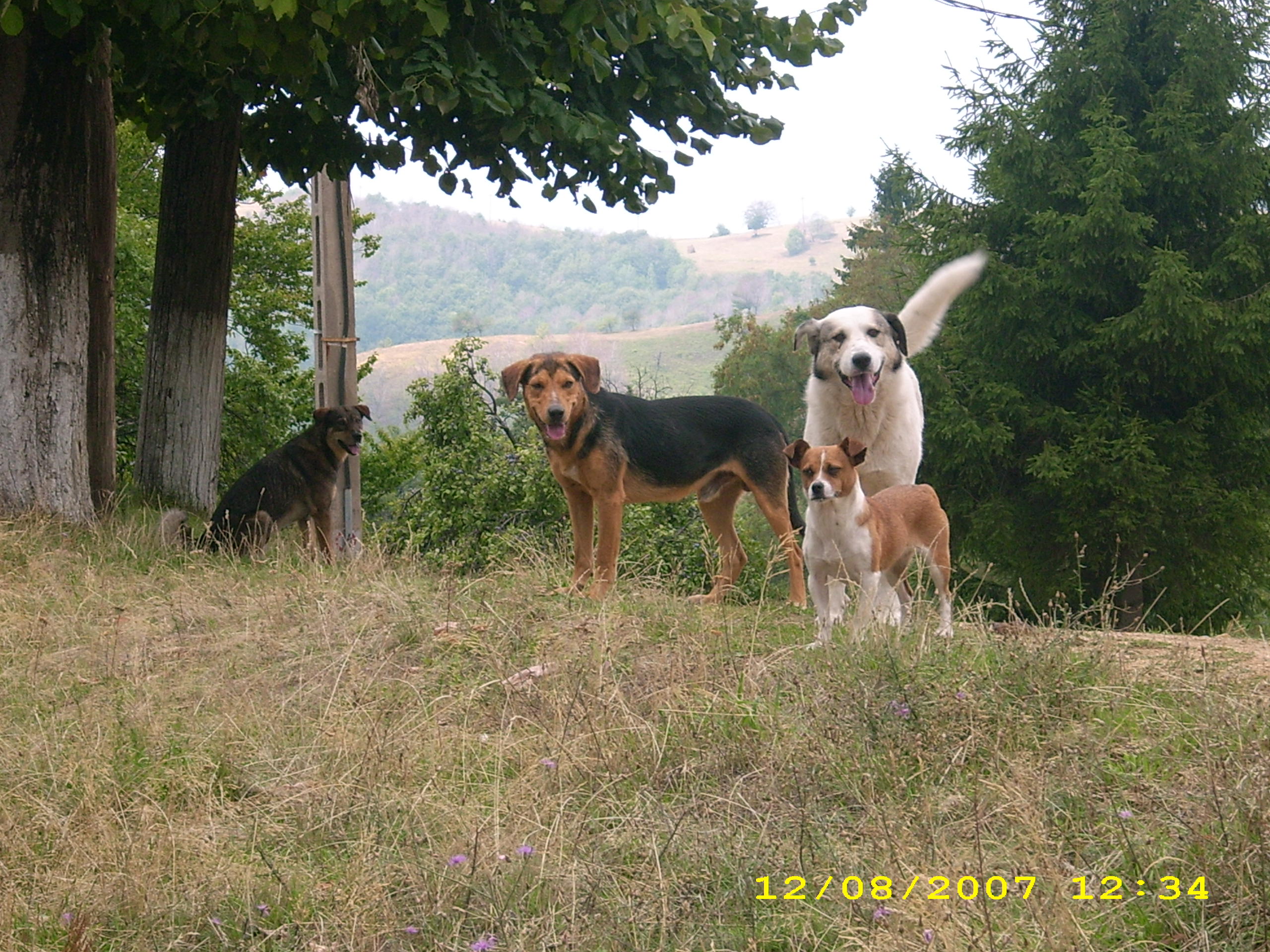 fotky rovensko 2 210.jpg